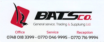 01431492014_bats1.jpg